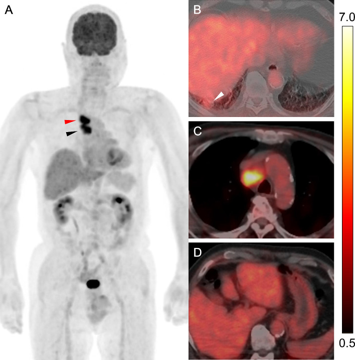 Fig 5