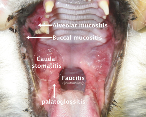 Figure 22