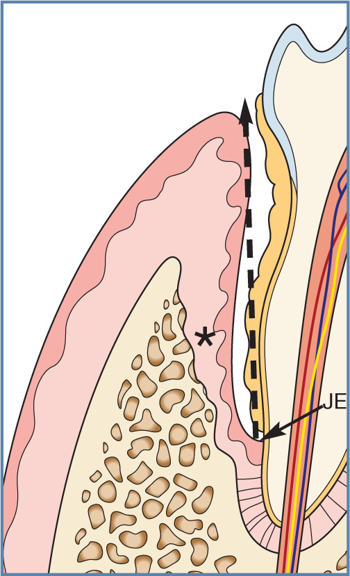 Figure 19