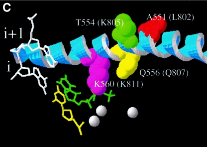 FIG.1.