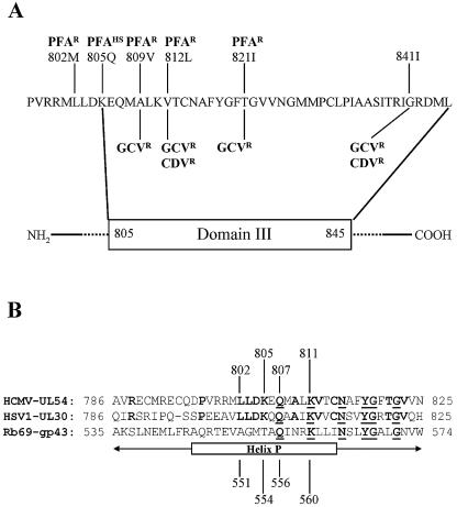 FIG.1.