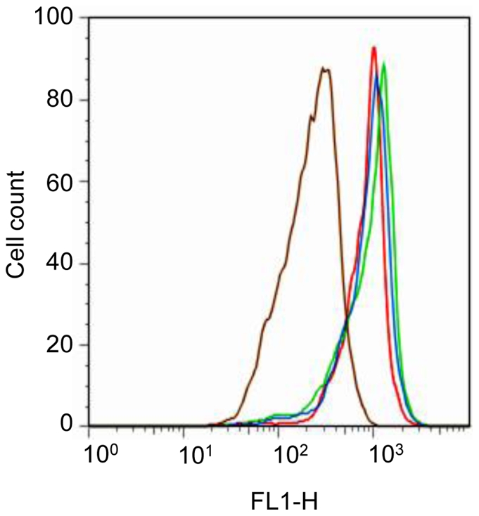 Figure 11