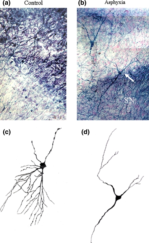 Fig. 7