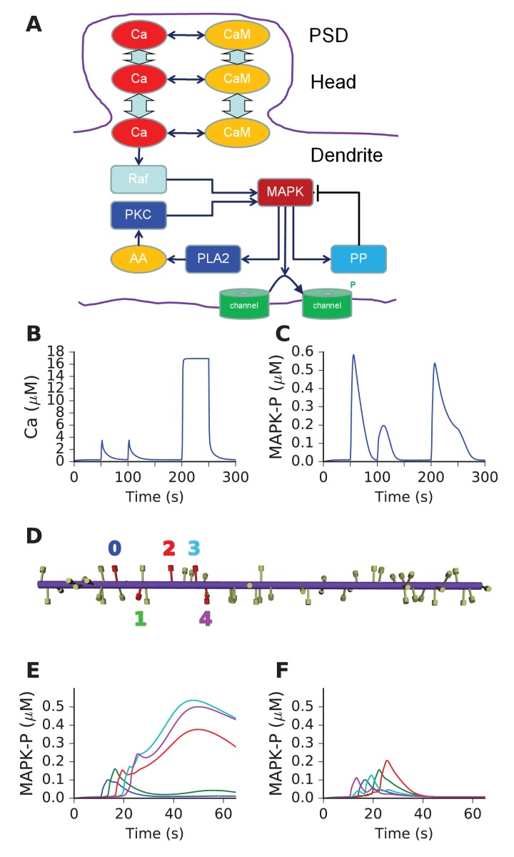 Figure 5.