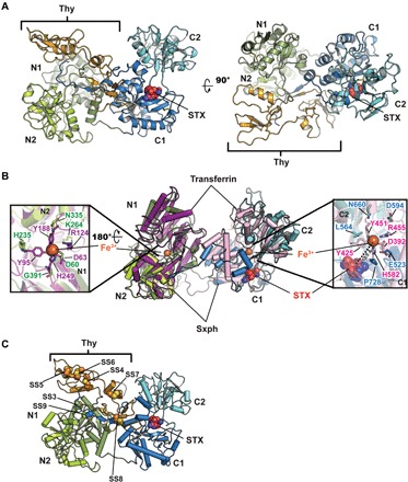 Fig. 1