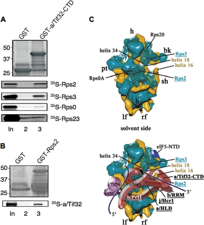 FIG. 11.