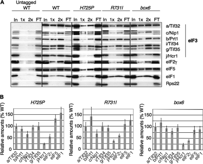 FIG. 7.