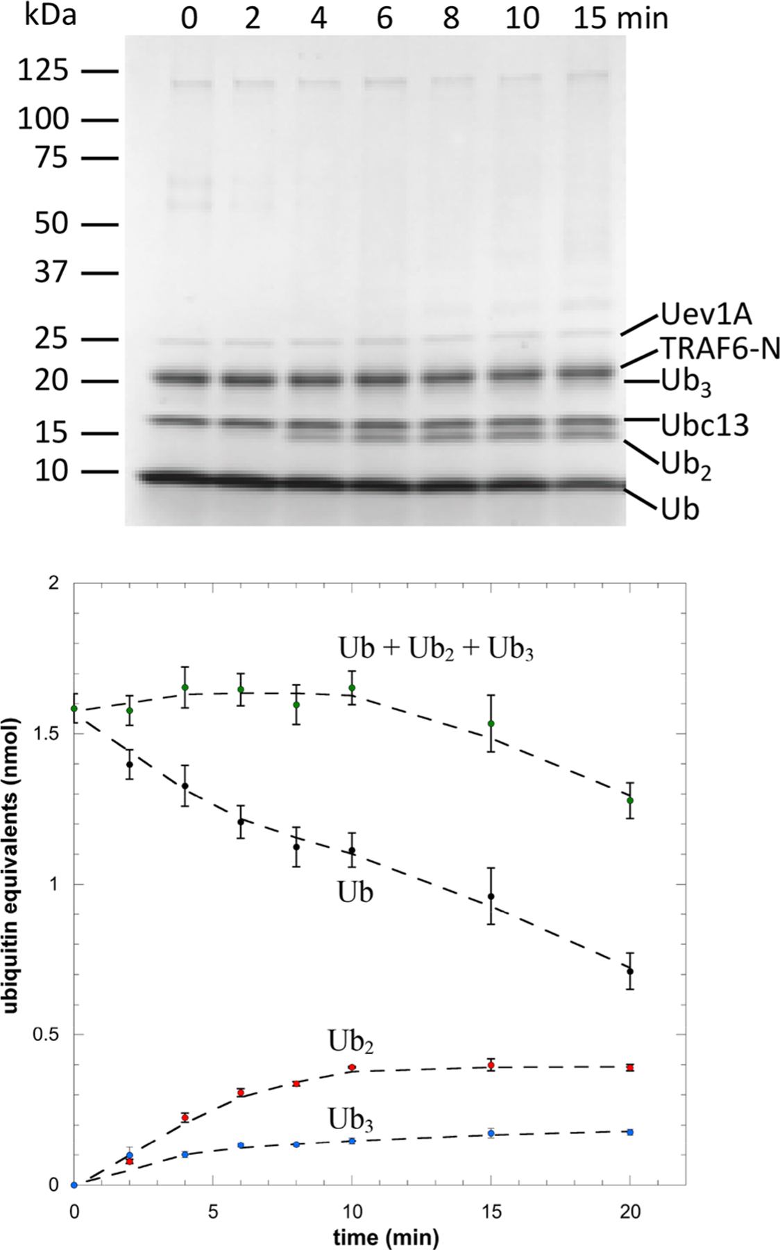 Figure 2.