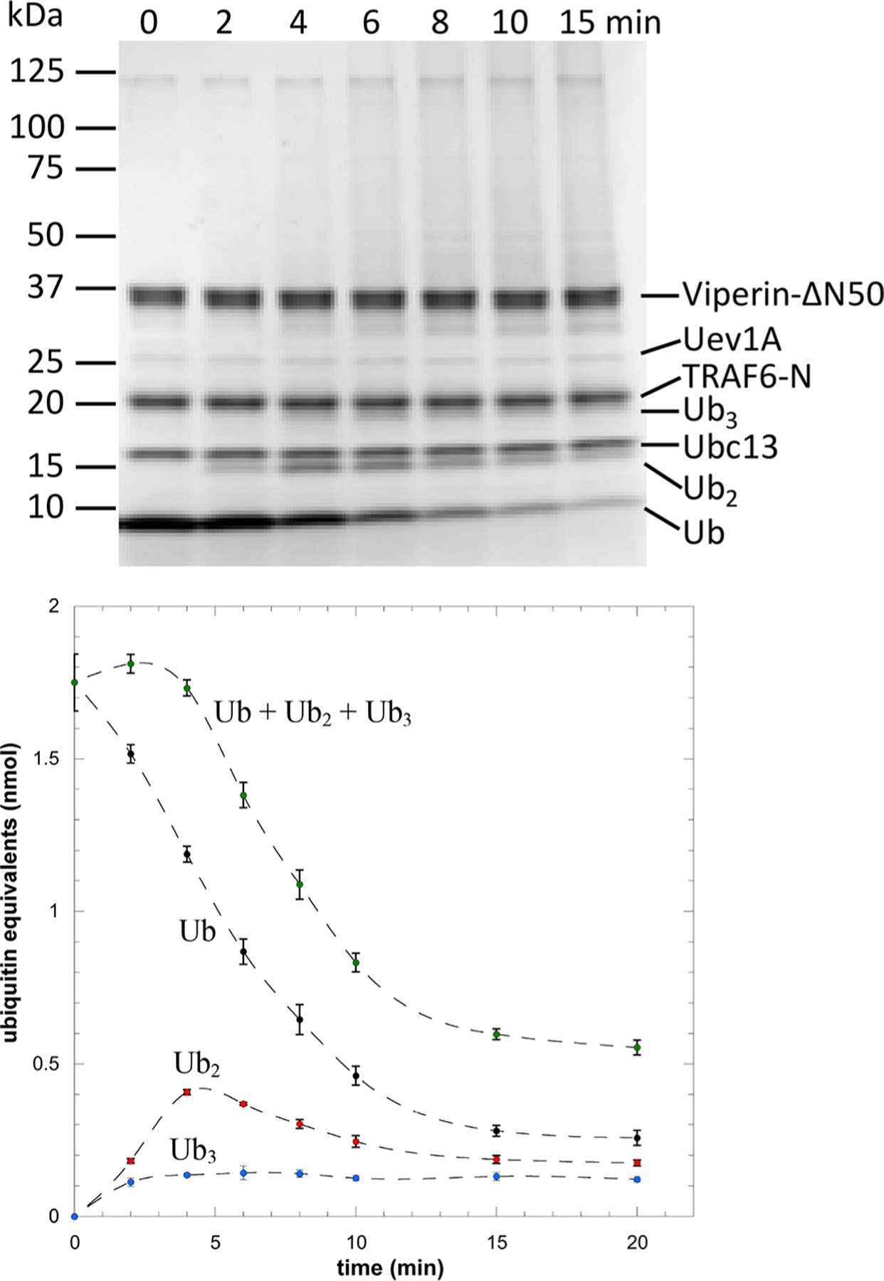 Figure 3.