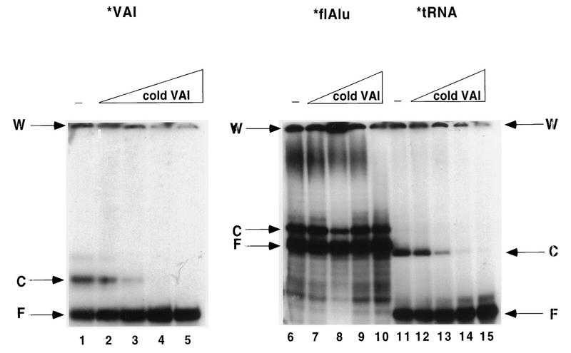 FIG. 5