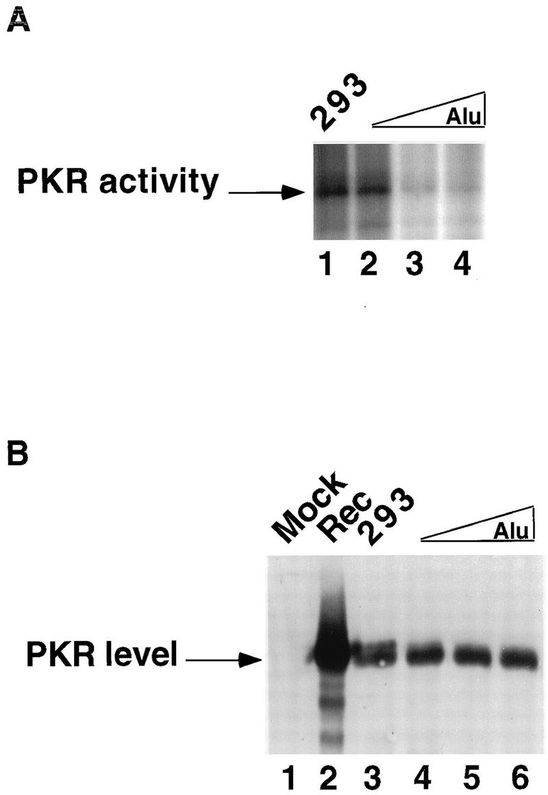 FIG. 8