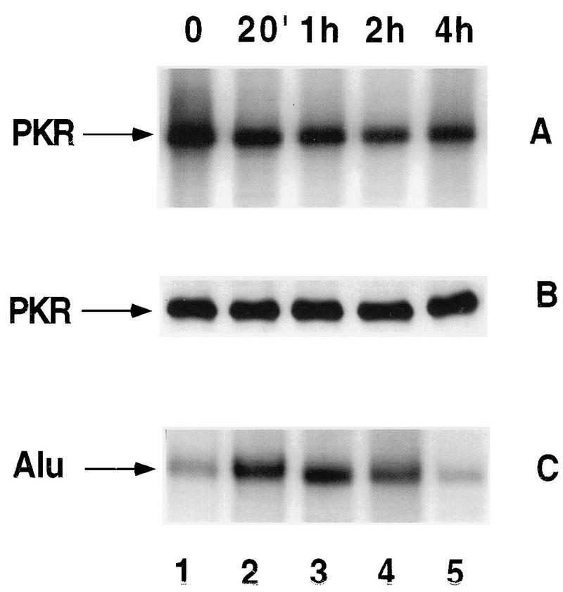 FIG. 9