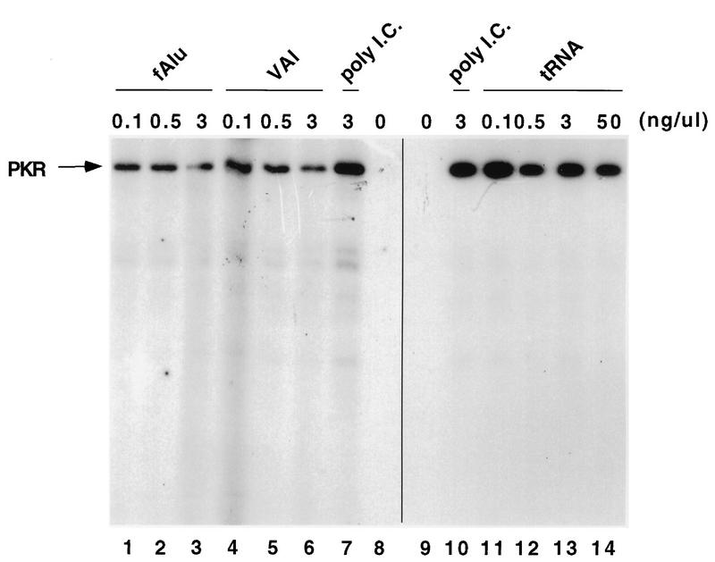 FIG. 6