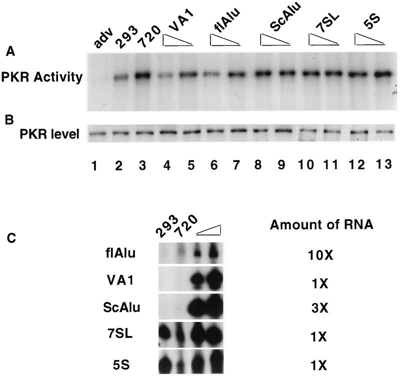 FIG. 7