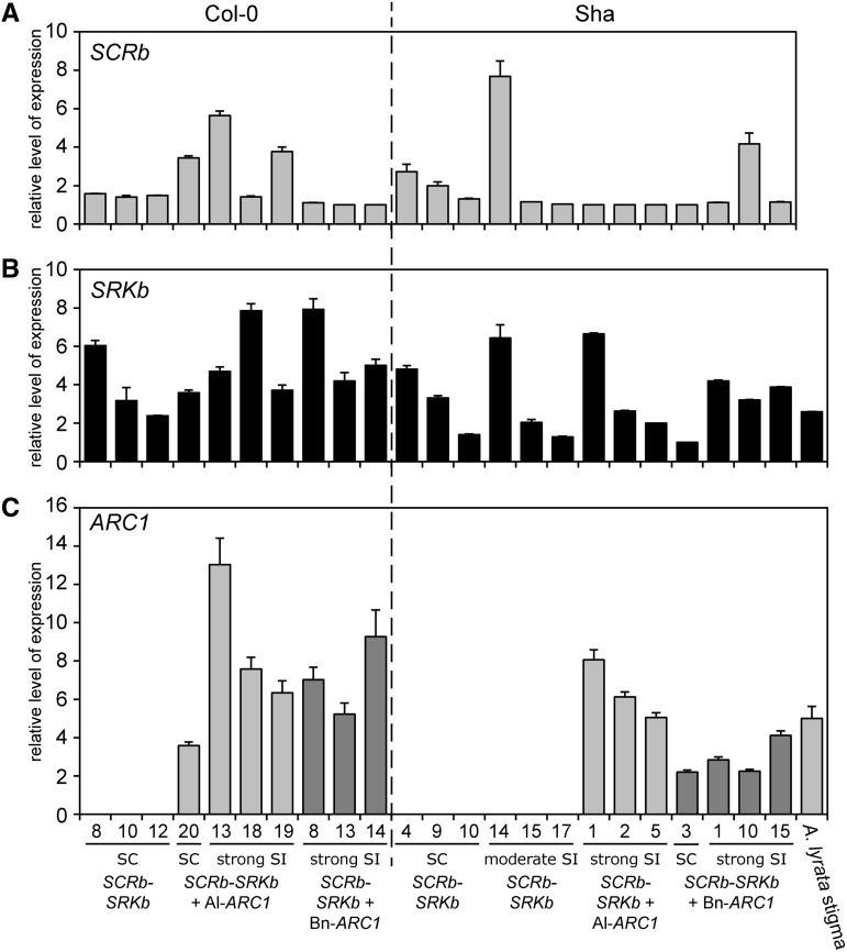 Figure 6.