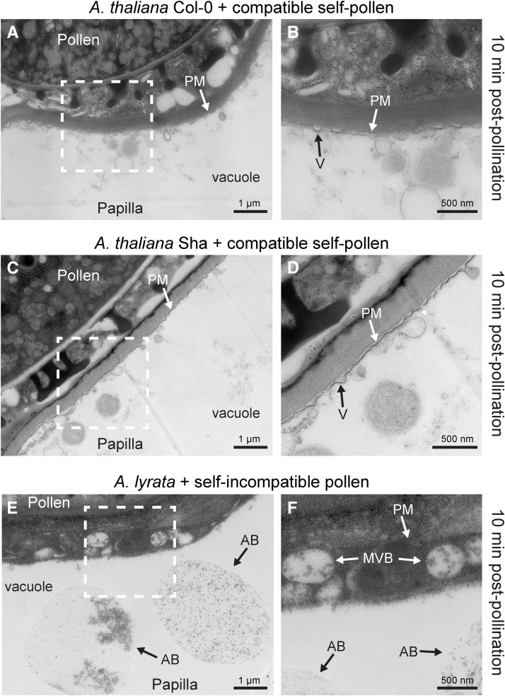 Figure 7.