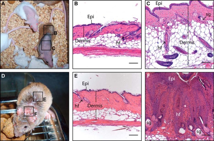 FIGURE 6.