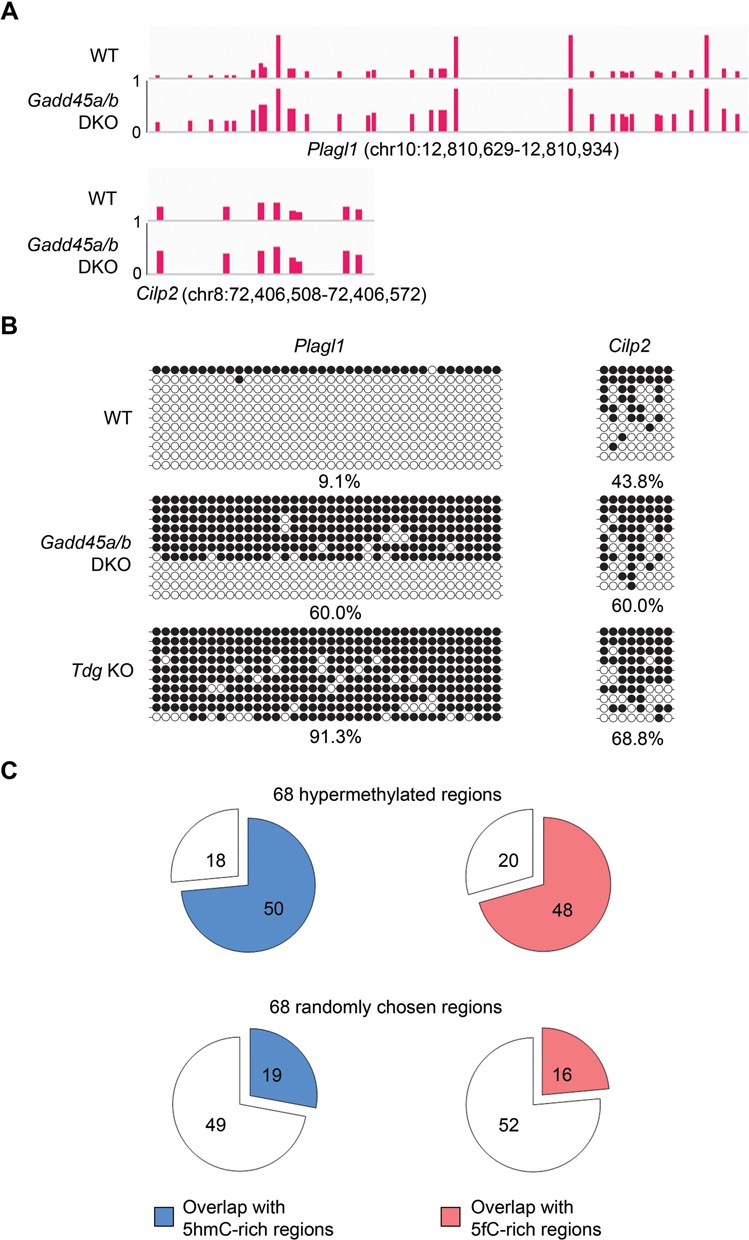 Figure 6.