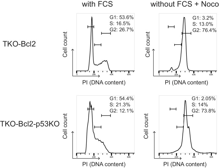 Figure 3—figure supplement 1.