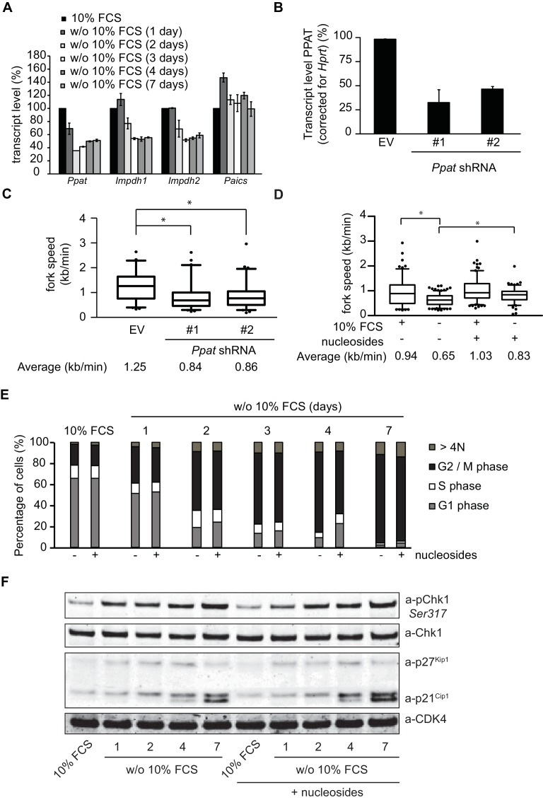 Figure 5—figure supplement 1.