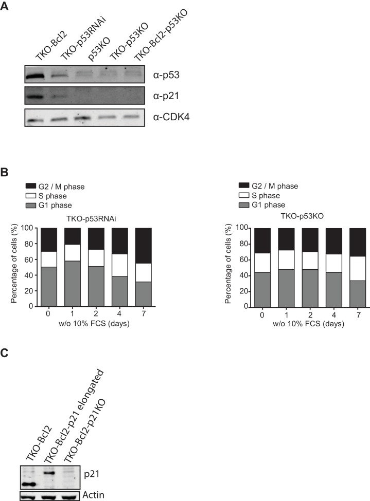 Figure 1—figure supplement 1.