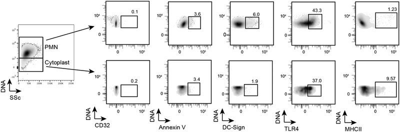 Figure 7: