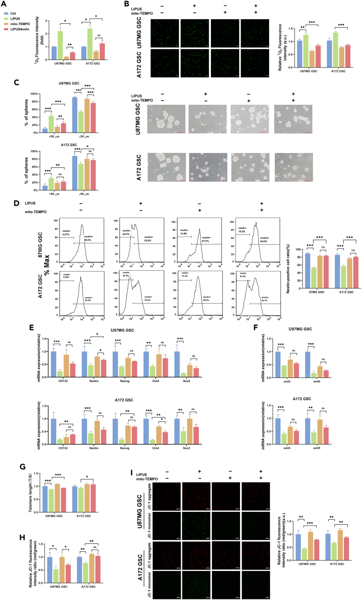 Figure 5