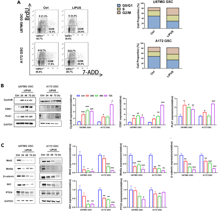 Figure 2