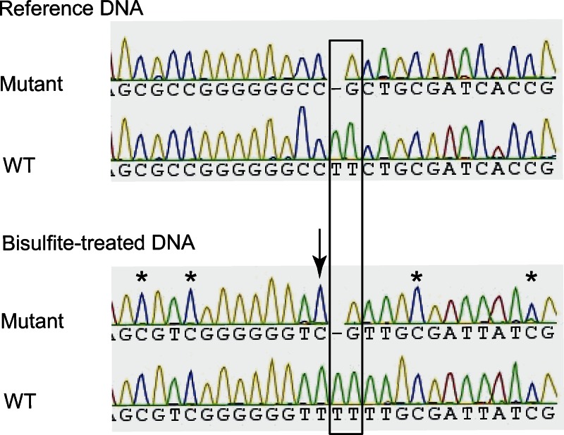 Figure 3.