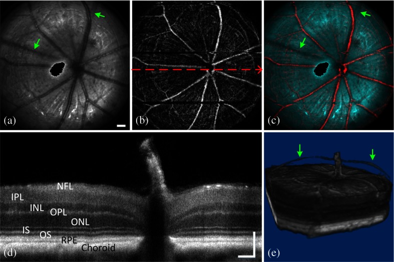 Fig. 4