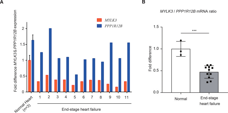 Figure 7.