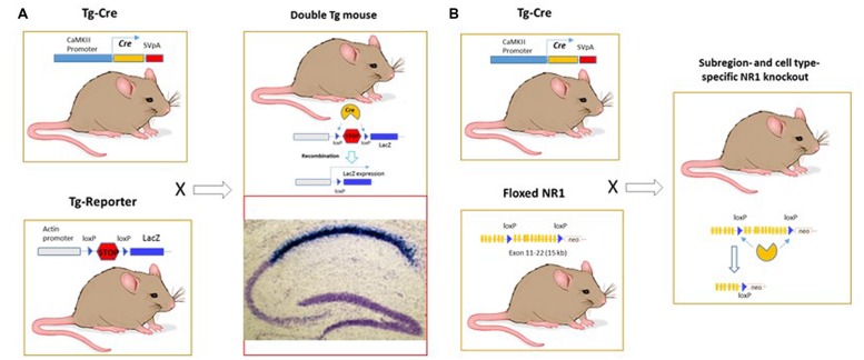 FIGURE 2