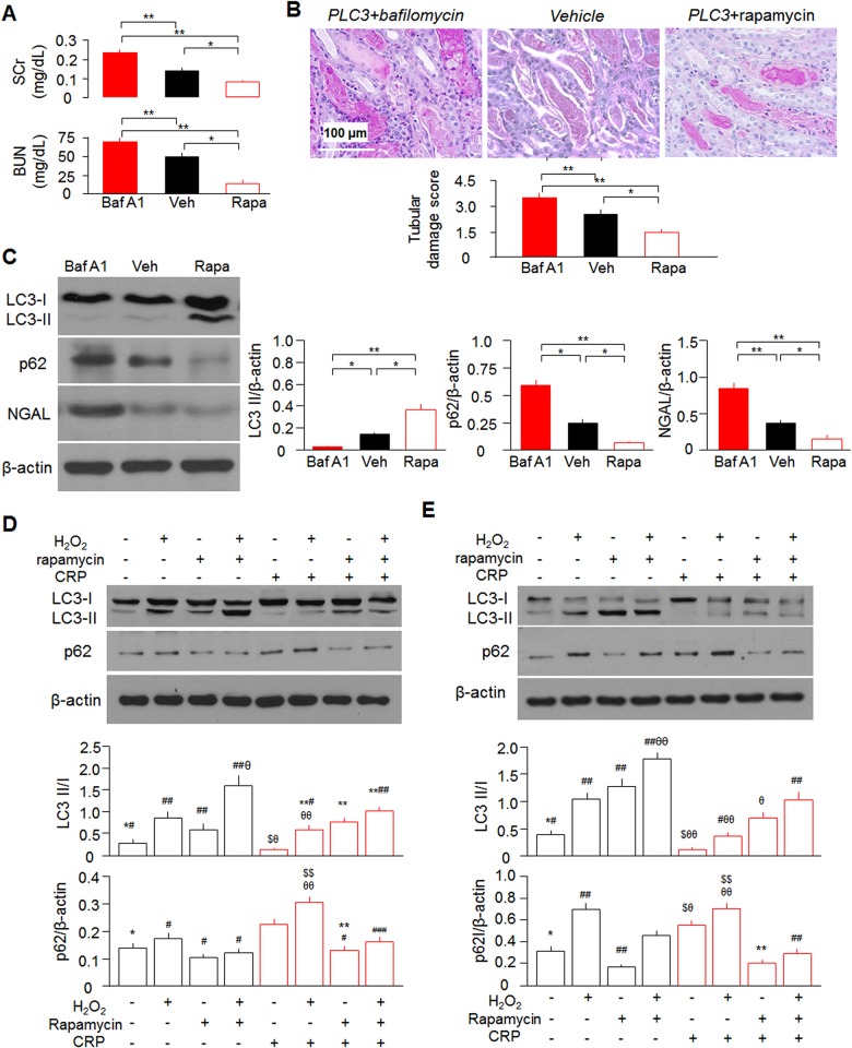 Fig 8