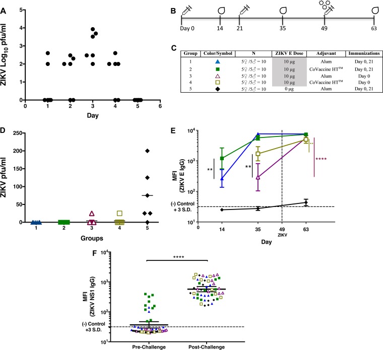 FIG 4 