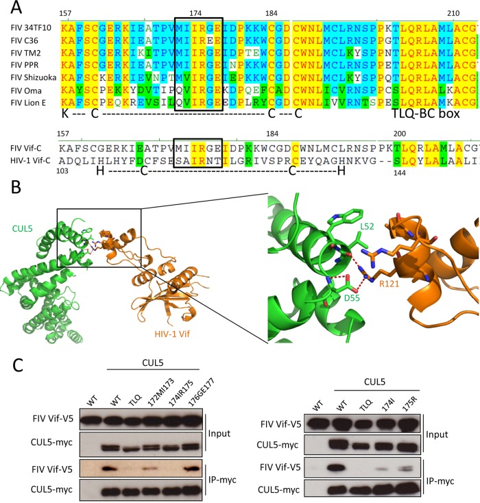 FIG 3