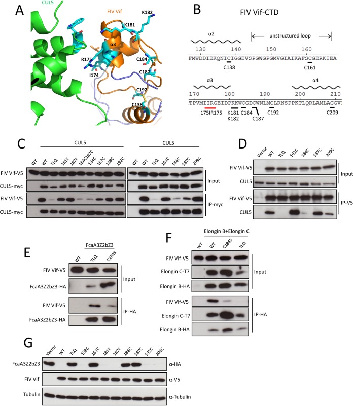 FIG 6