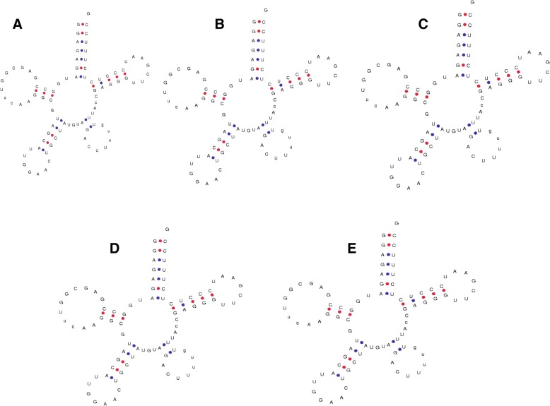 Fig. 6