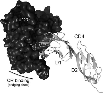 Fig. 15.4