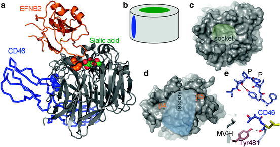 Fig. 15.5