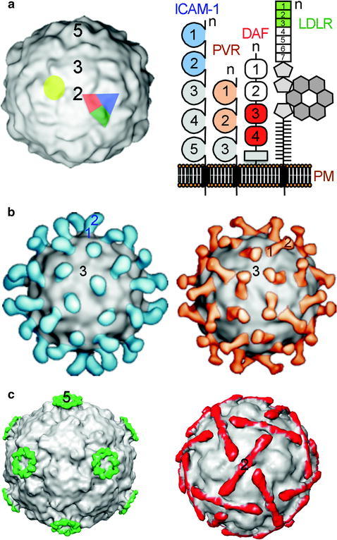 Fig. 15.2