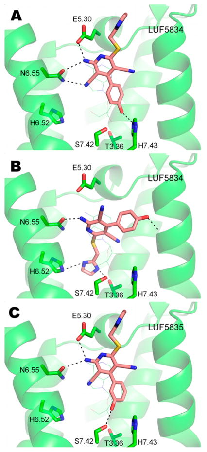 Figure 6