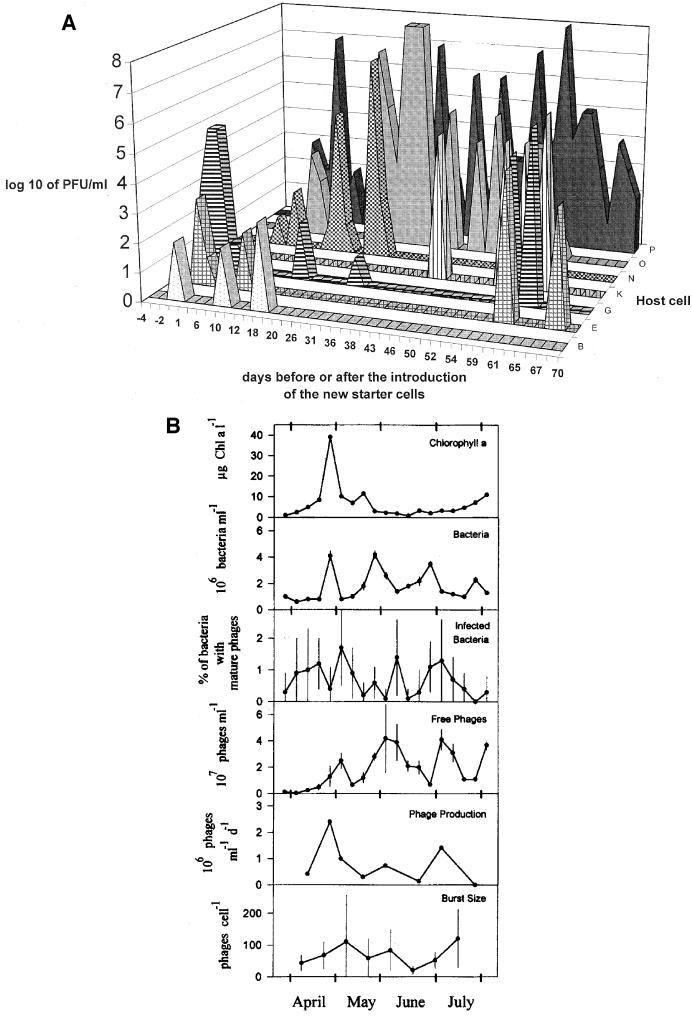 FIG.1.