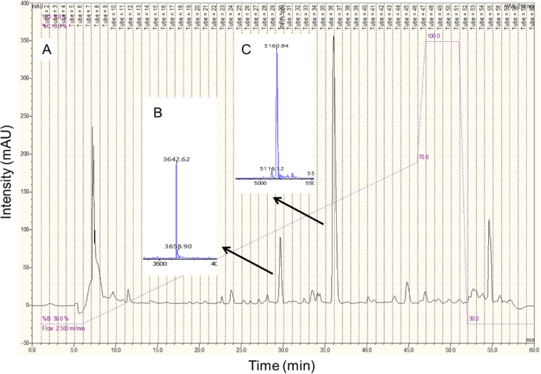 FIG 2