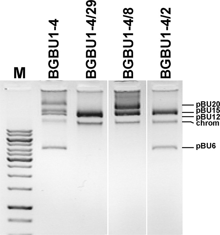 FIG 1