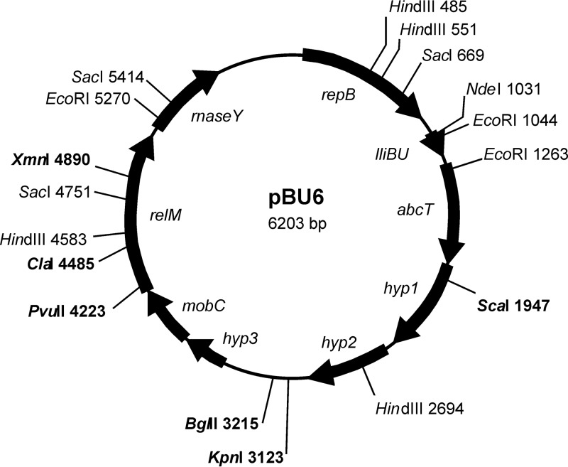 FIG 3