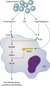 Fig. 3.