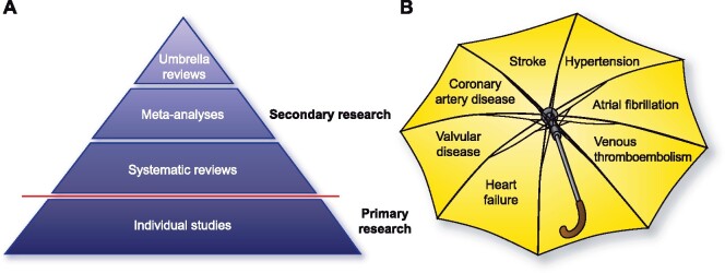 Graphical Abstract