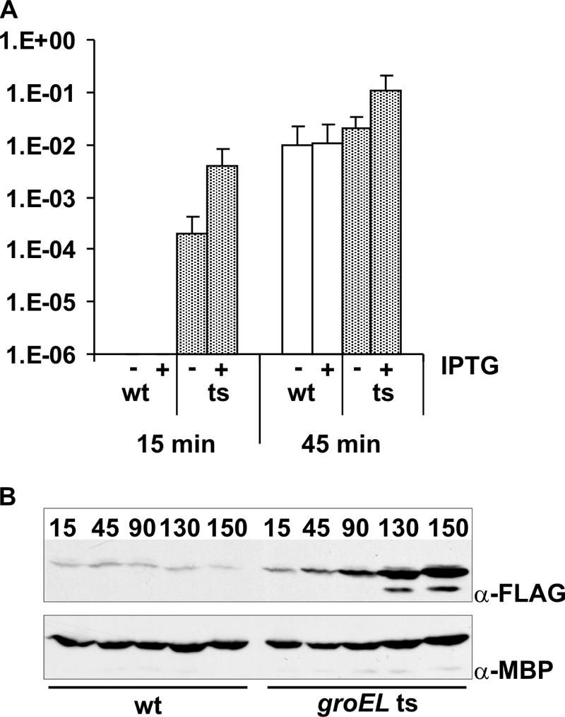 FIG. 8.