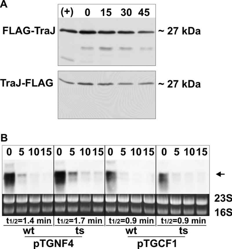 FIG. 6.