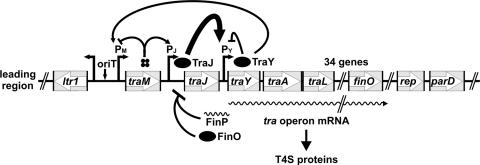 FIG. 1.